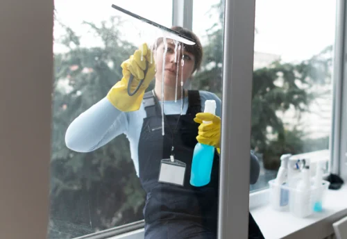 Nettoyage de vitres intérieures et extérieures à Ornézan